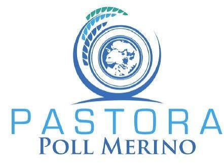Pastora Poll Merino Stud Logo