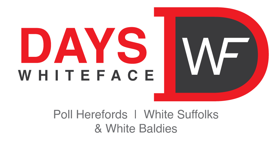 Days Whiteface Logo