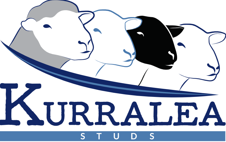 Kurralea Studs Logo
