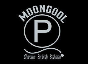 Moongool Simbrah Logo