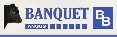 Banquet Angus Logo