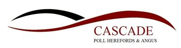 Cascade Studs Logo