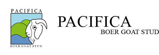 Pacifica Boer Goat Stud Logo