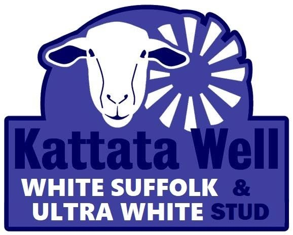 Kattata Well Stud Logo
