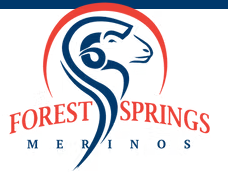 Forest Springs Merino Stud Logo