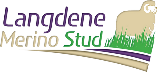 Langdene Merino Stud Logo