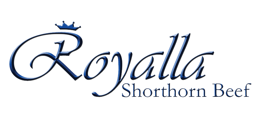 Royalla Shorthorns Logo