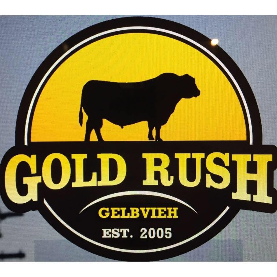 Gold Rush Gelbvieh Logo
