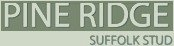 Pine Ridge Suffolk Stud Logo