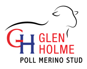 Glen Holme Poll Merino Stud Logo