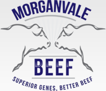 Morganvale Beef Logo