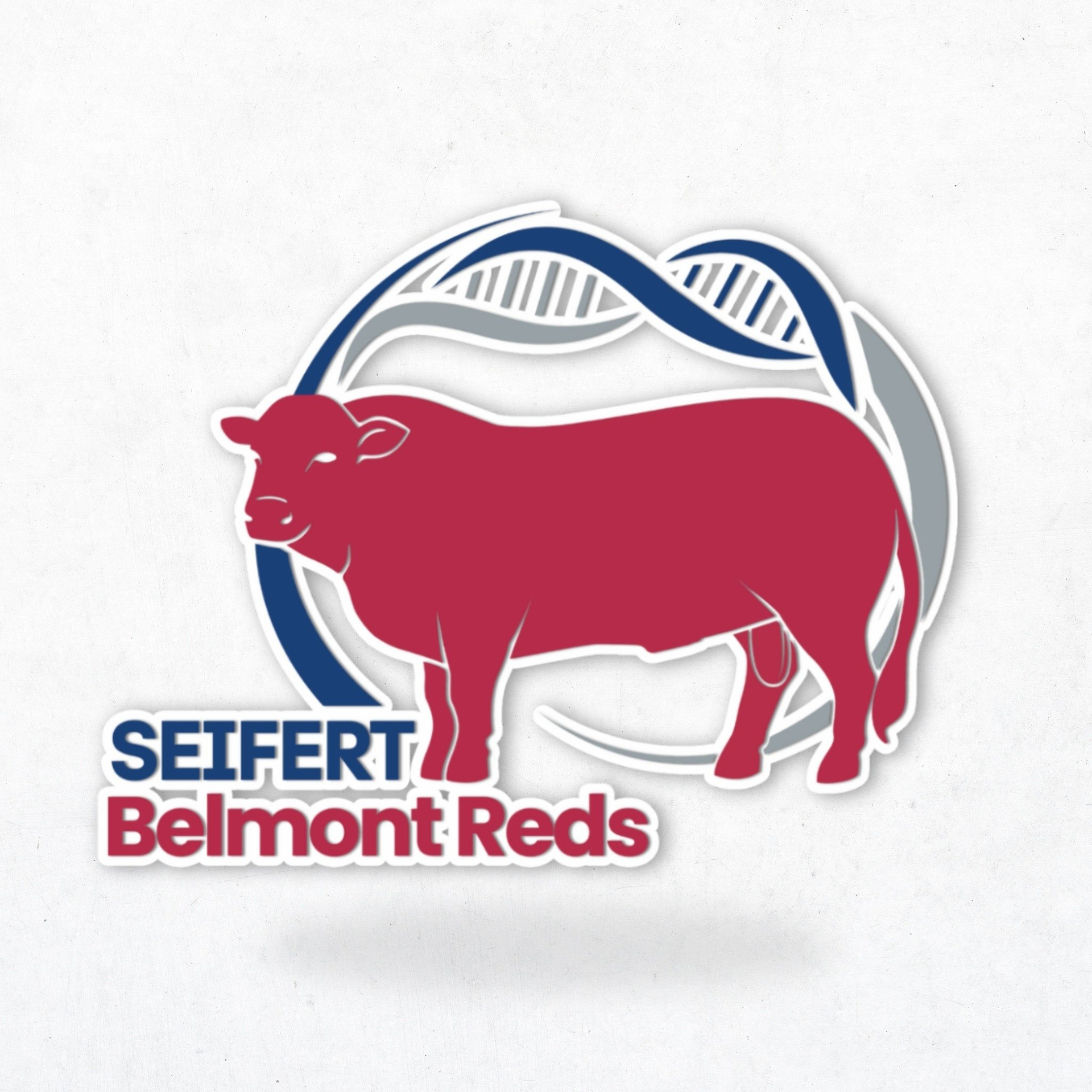 Seifert Belmont Reds Logo