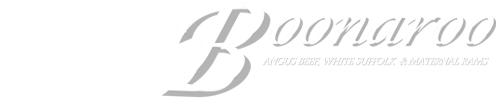 Boonaroo Angus Logo