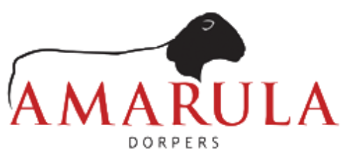 Amarula White Dorper Stud Logo