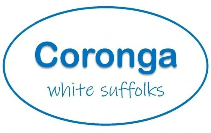 Coronga White Suffolks Logo