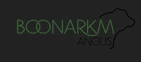 BoonARKM Angus Logo