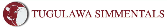 Tugulawa Simmental Stud Logo
