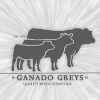 Ganado Greys Logo