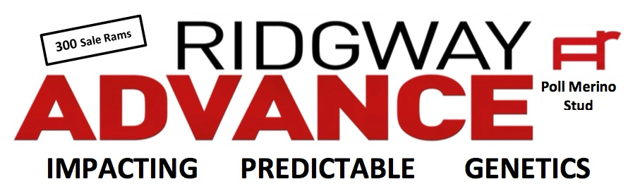 Ridgway Advance Poll Merino Logo
