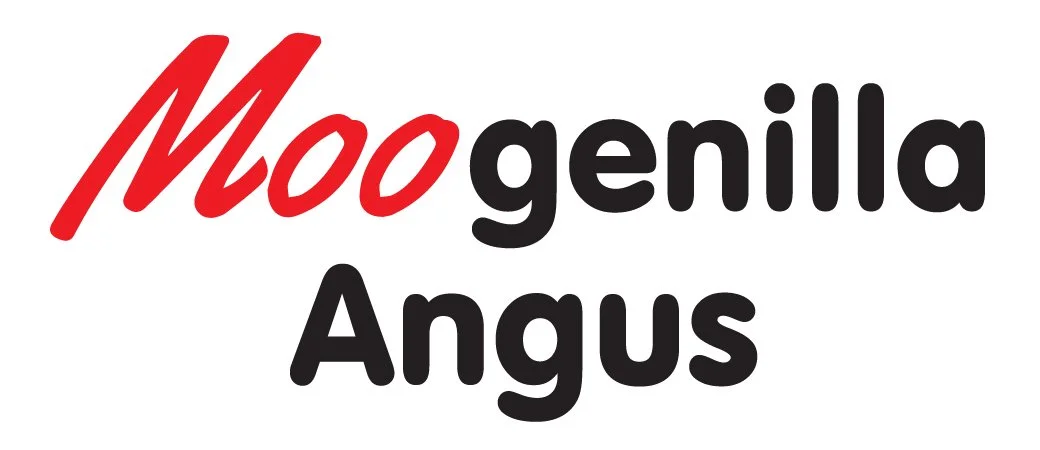 Moogenilla Angus Logo