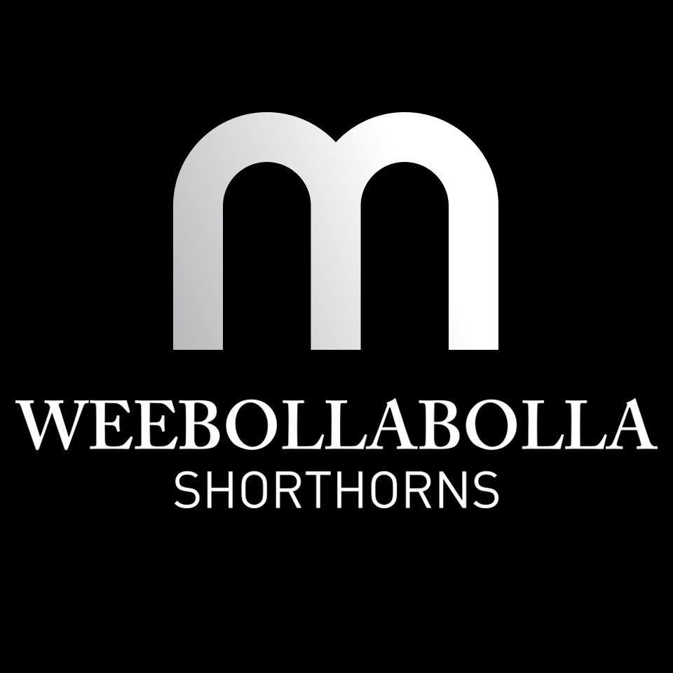 Weebollabolla Shorthorns Logo