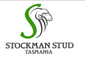 Stockton Merino Stud Logo