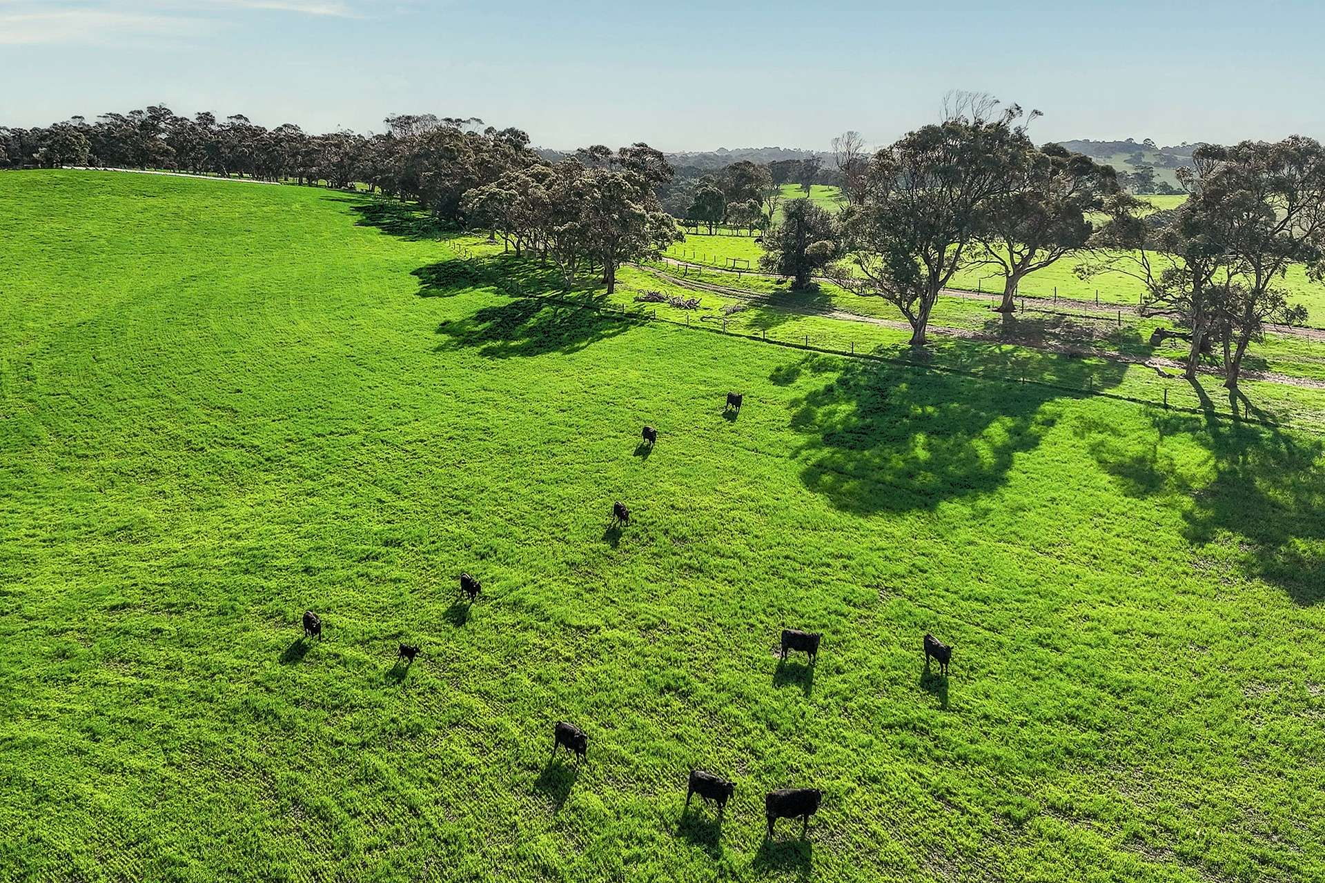 cattle property for sale SA