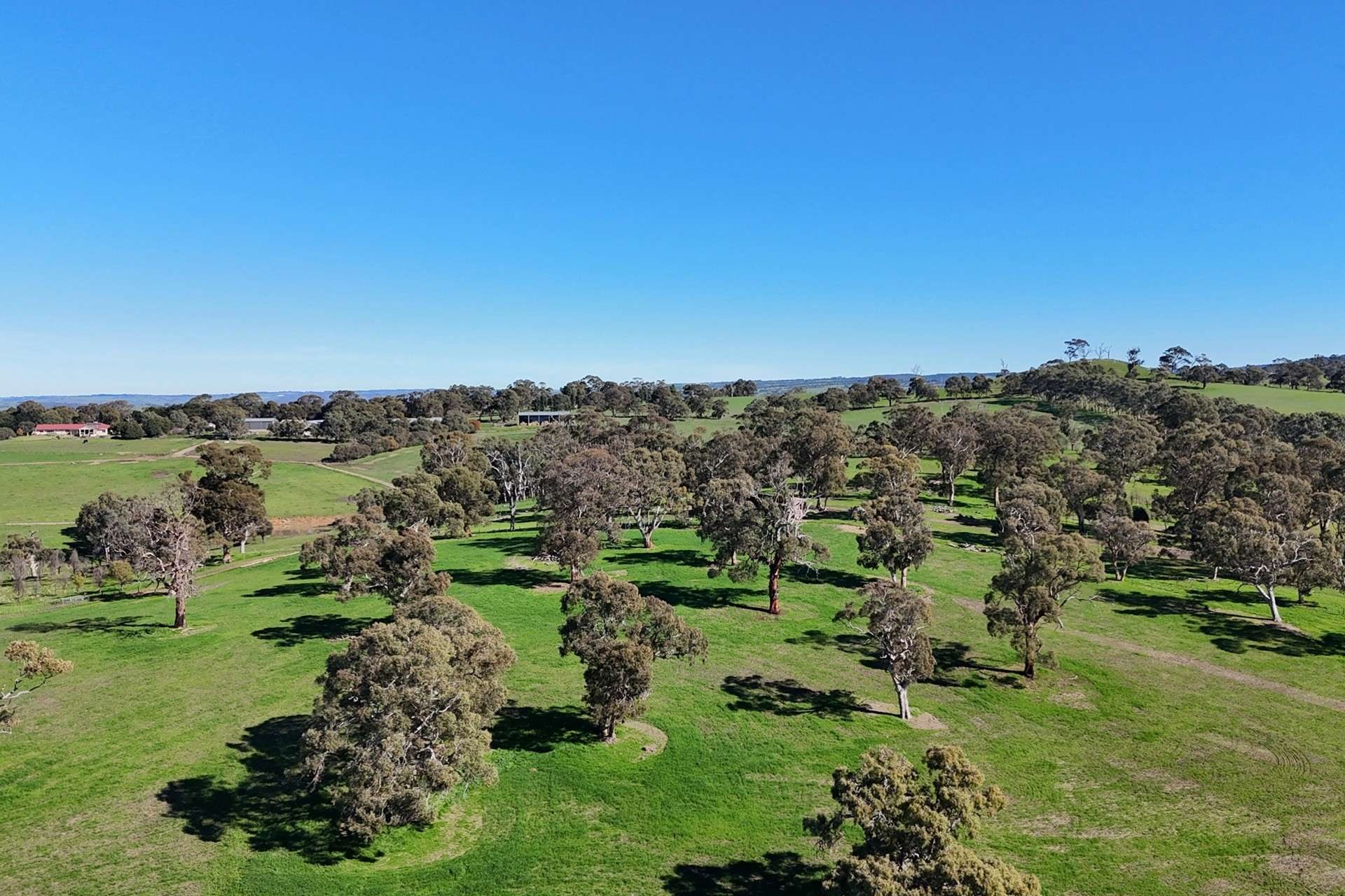 cattle property for sale SA