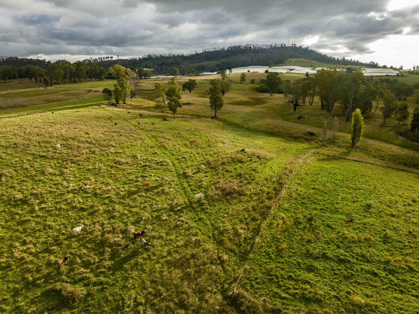 The Best Land For Sale NSW Farmbuy Buyers’ Guide