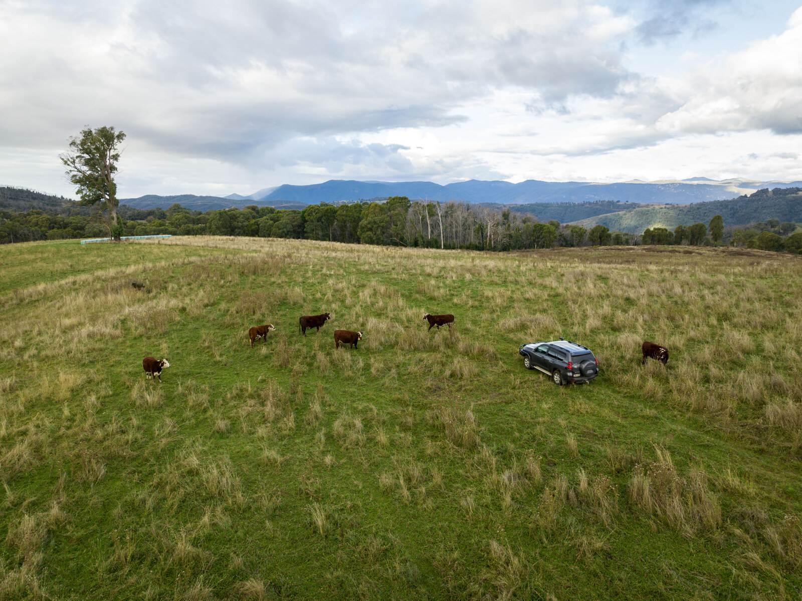 Land For Sale NSW