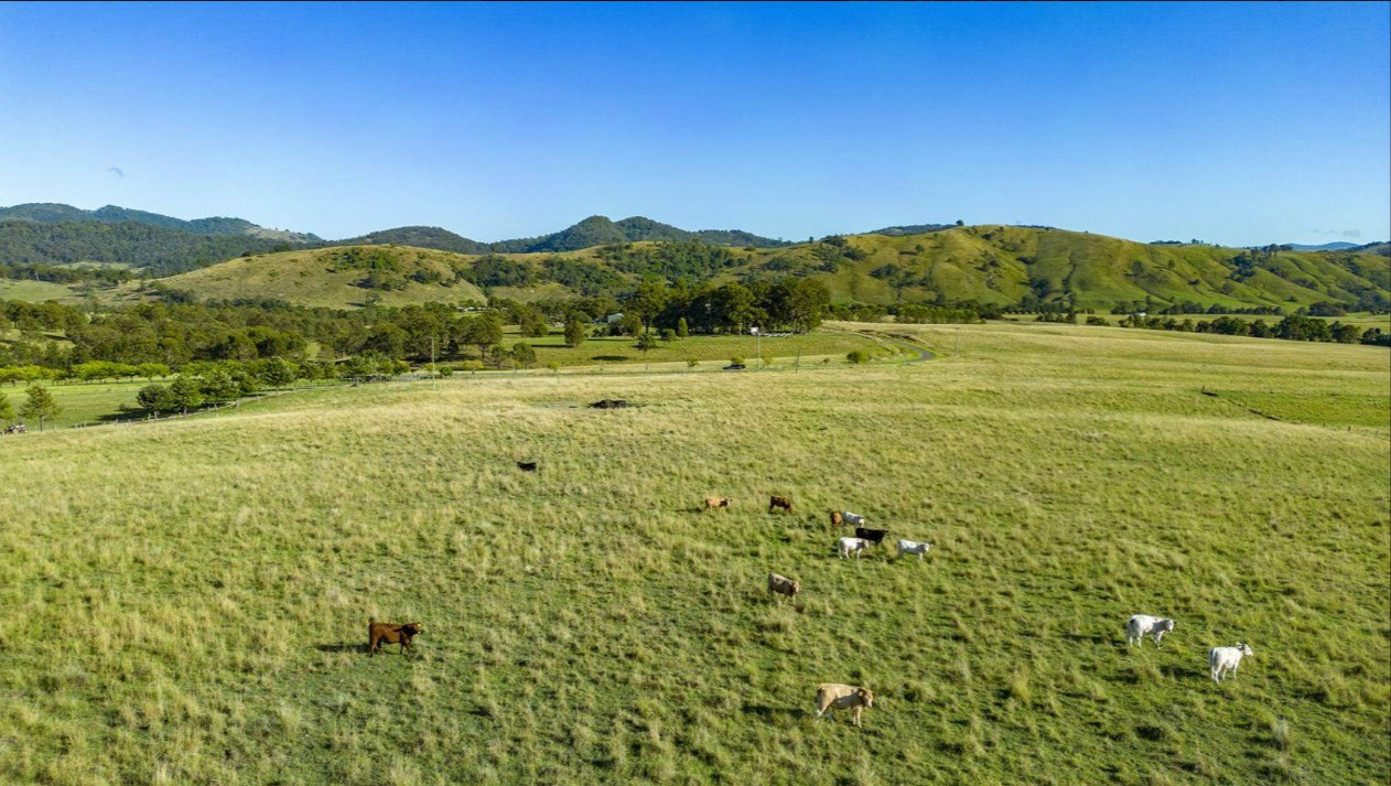 Land For Sale NSW