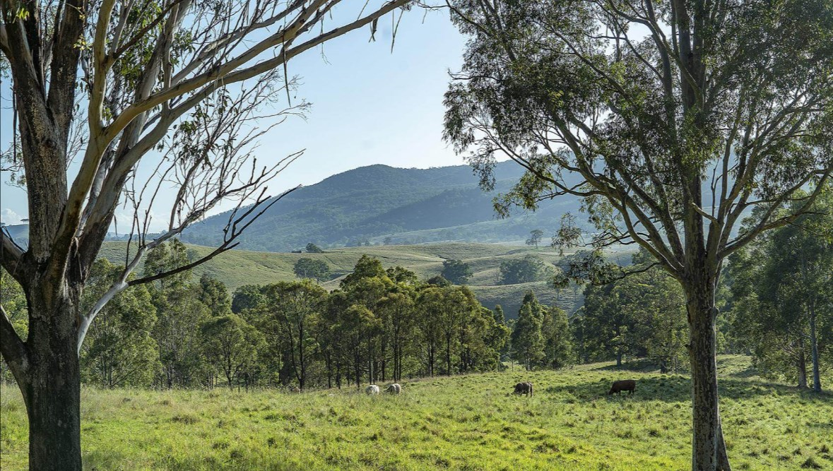 Land For Sale NSW