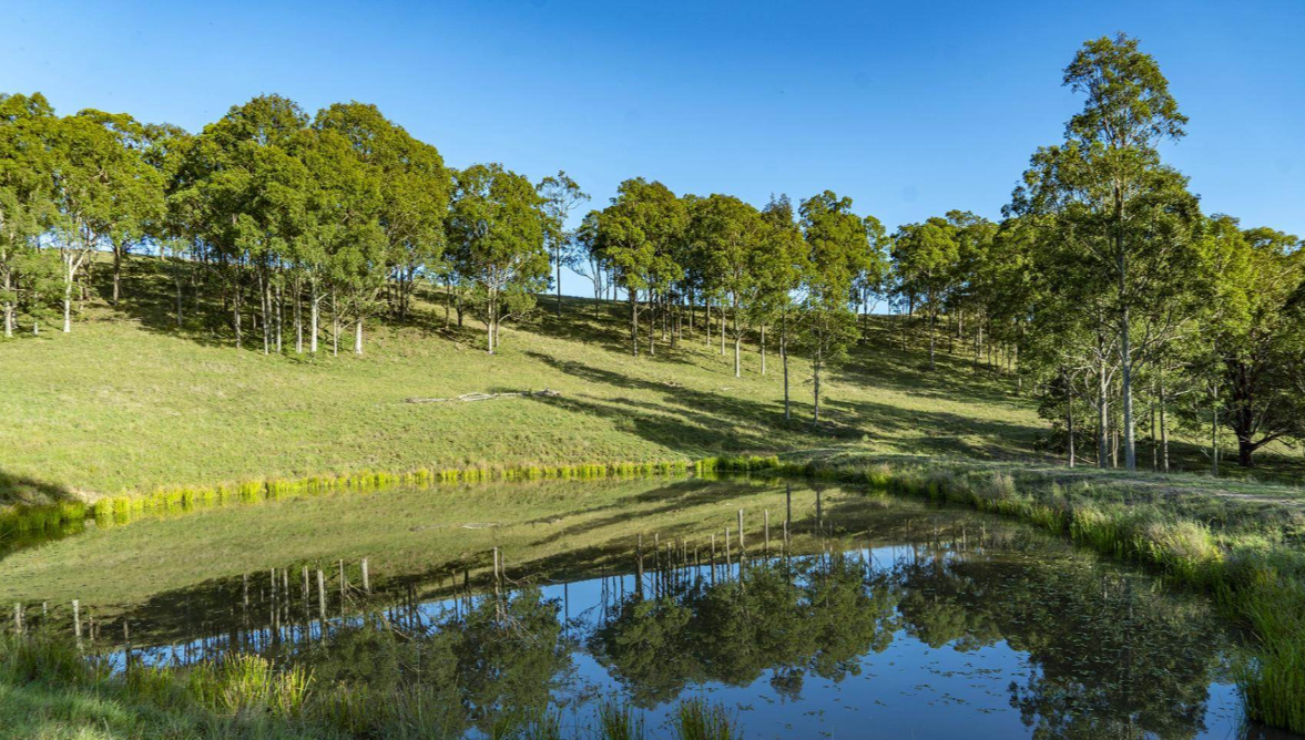 Land For Sale NSW