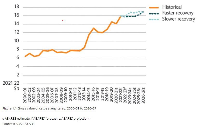 Cattle Sales Australia