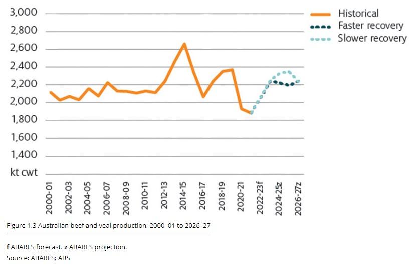 Cattle Sales Australia