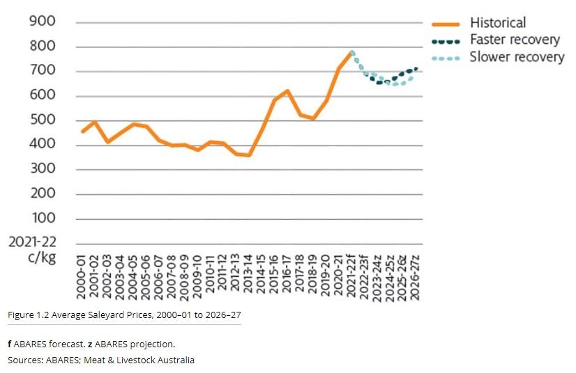 Cattle Sales Australia