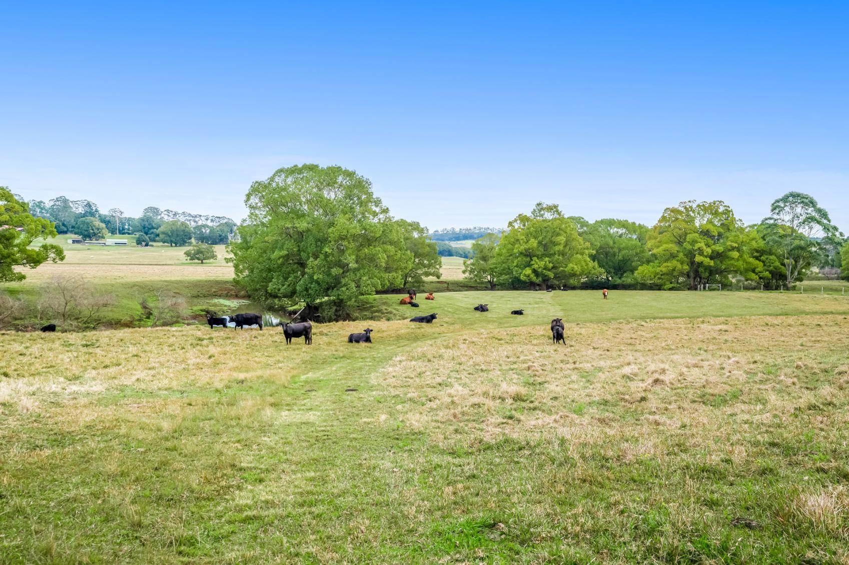 Acreage For Sale Northern NSW