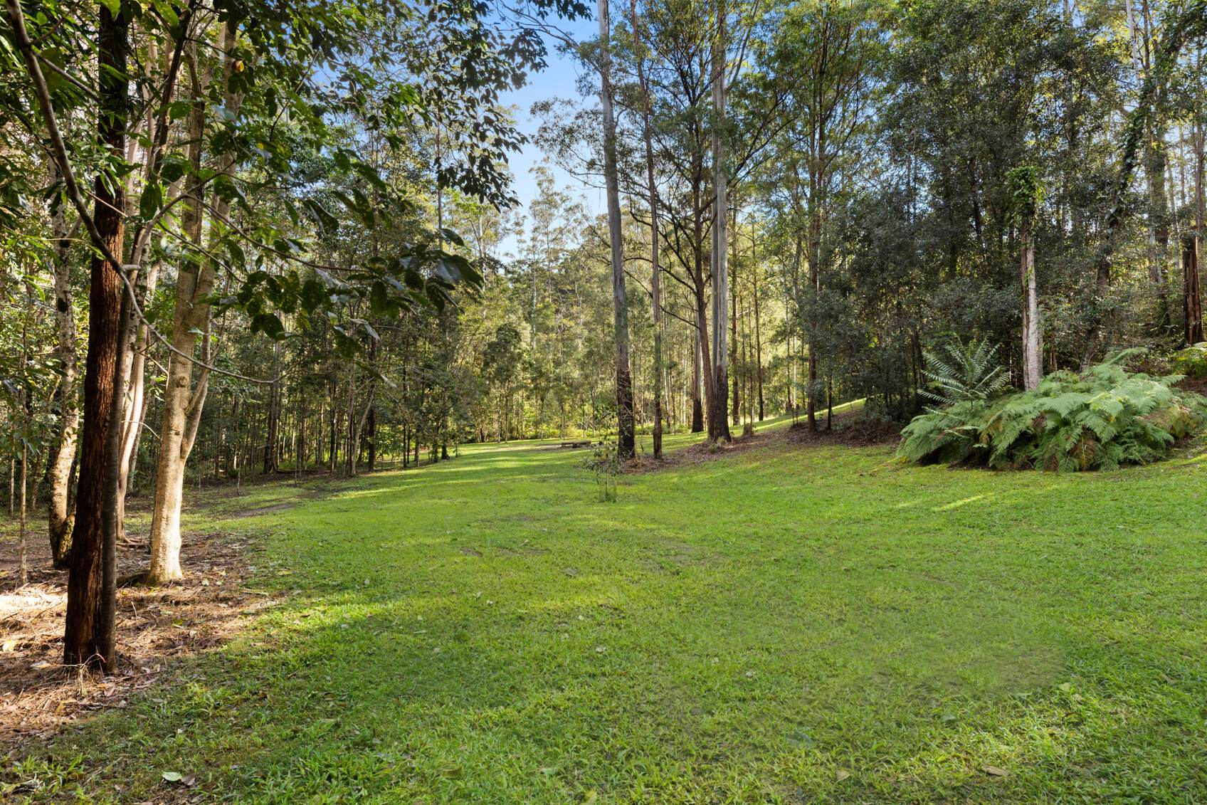 Acreage For Sale Sunshine Coast