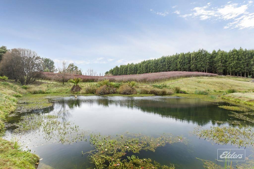 Prices For Acreage For Sale Tasmania In Record High Territory