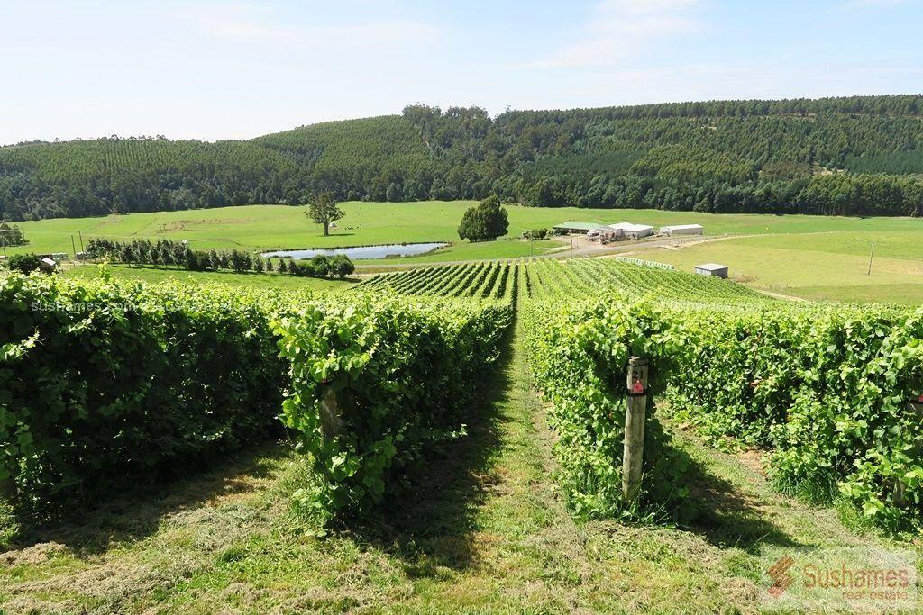 Prices For Acreage For Sale Tasmania In Record High Territory