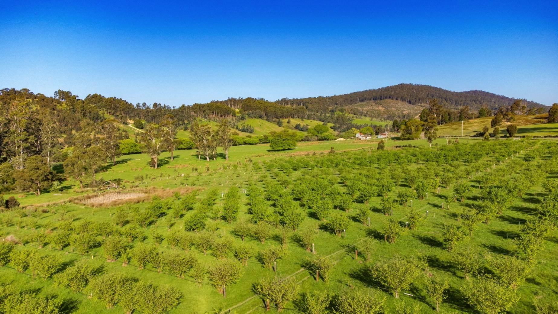 Farms For Sale Tasmania