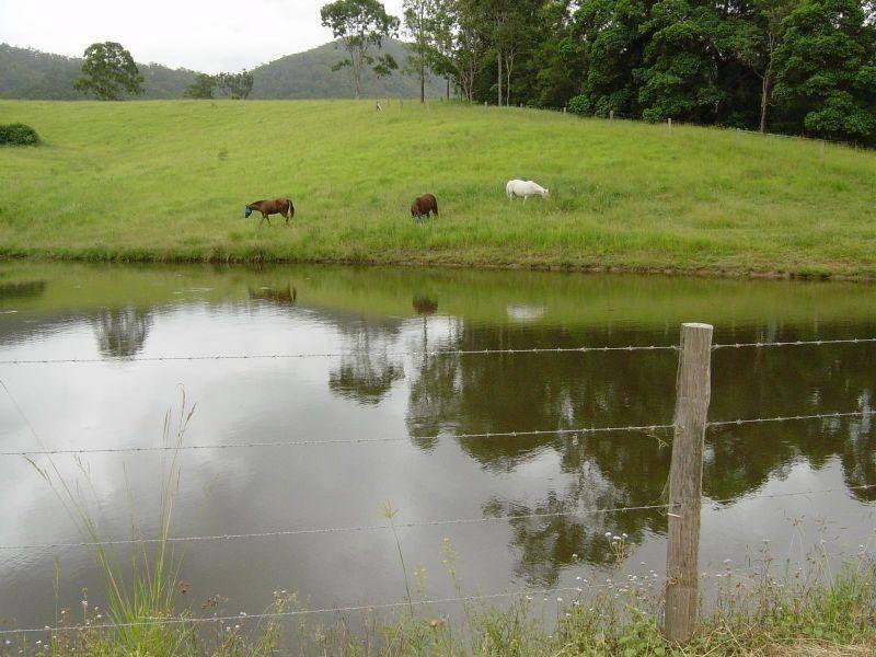 Acreage For Sale Noosa Hinterland Qld