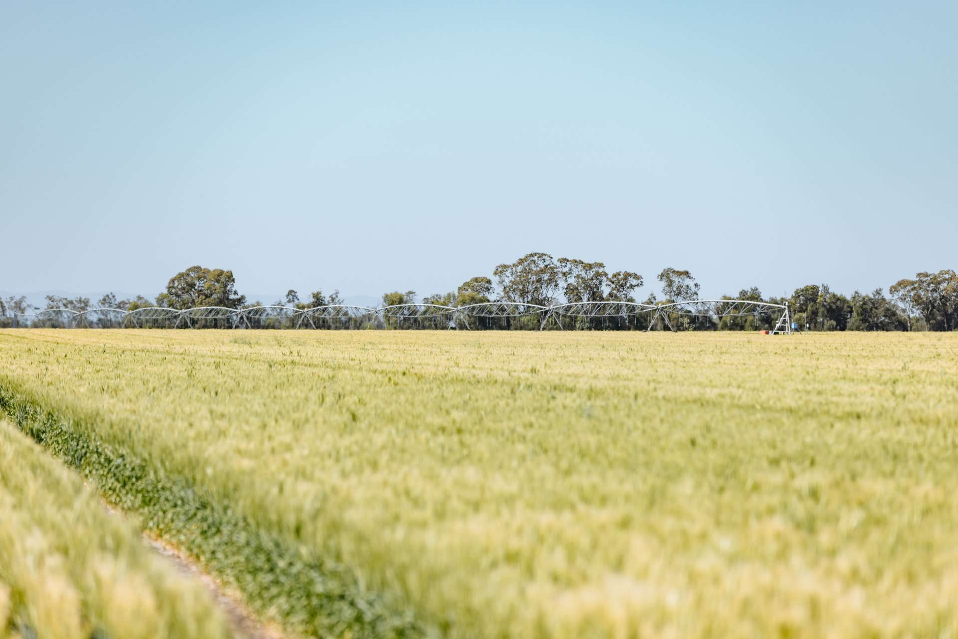 Rural Property For Sale QLD