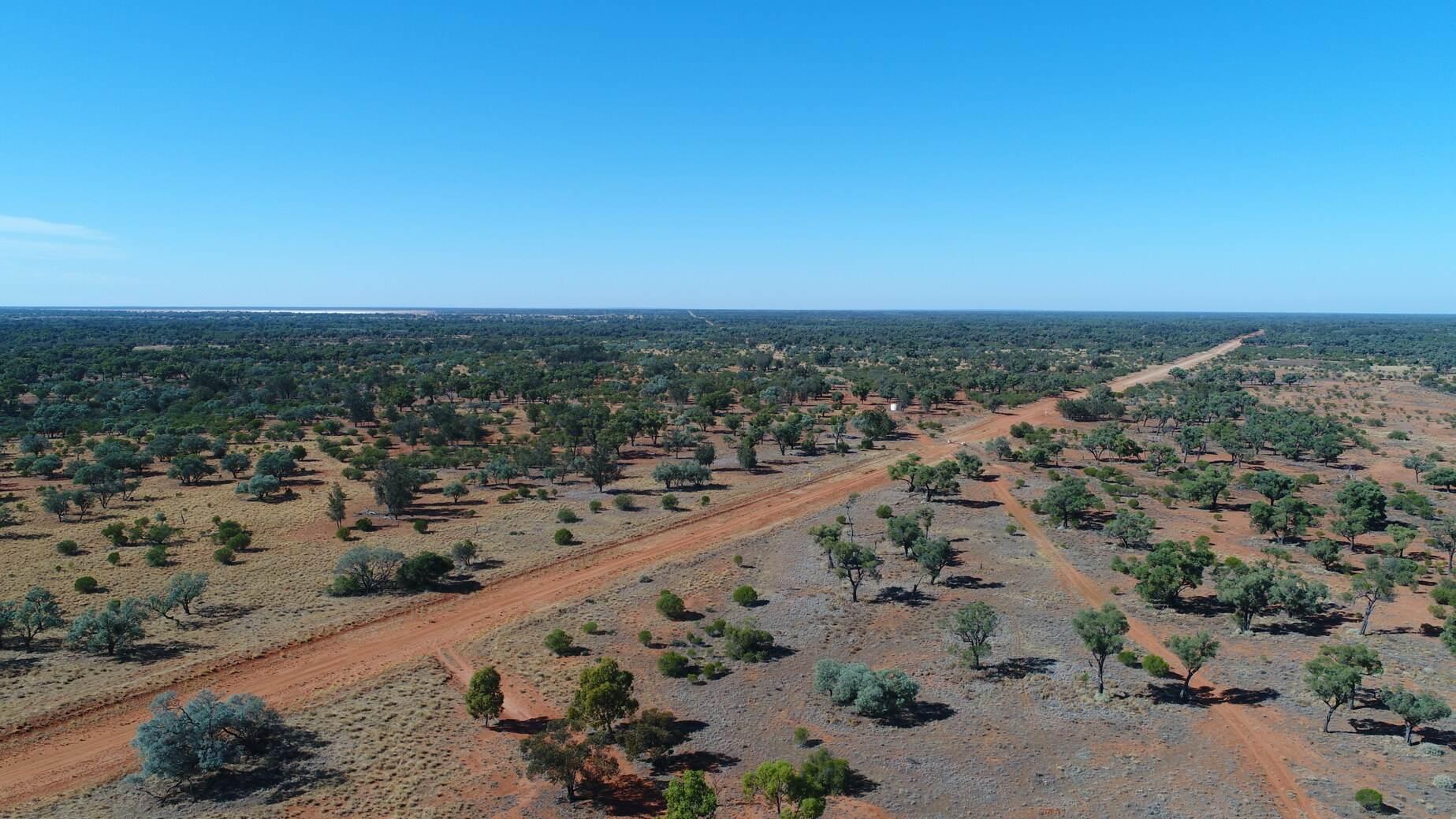 Farm For Sale NSW