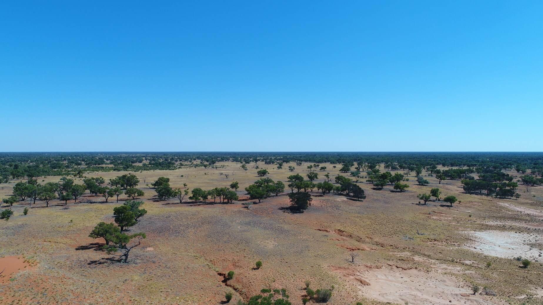 Farm For Sale NSW