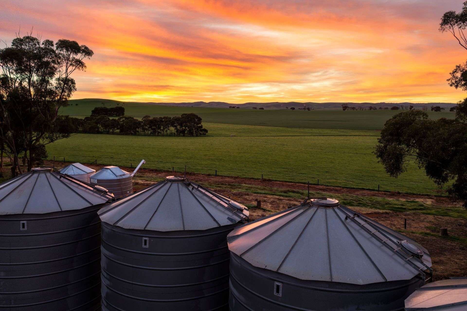 Mixed Farm For Sale SA