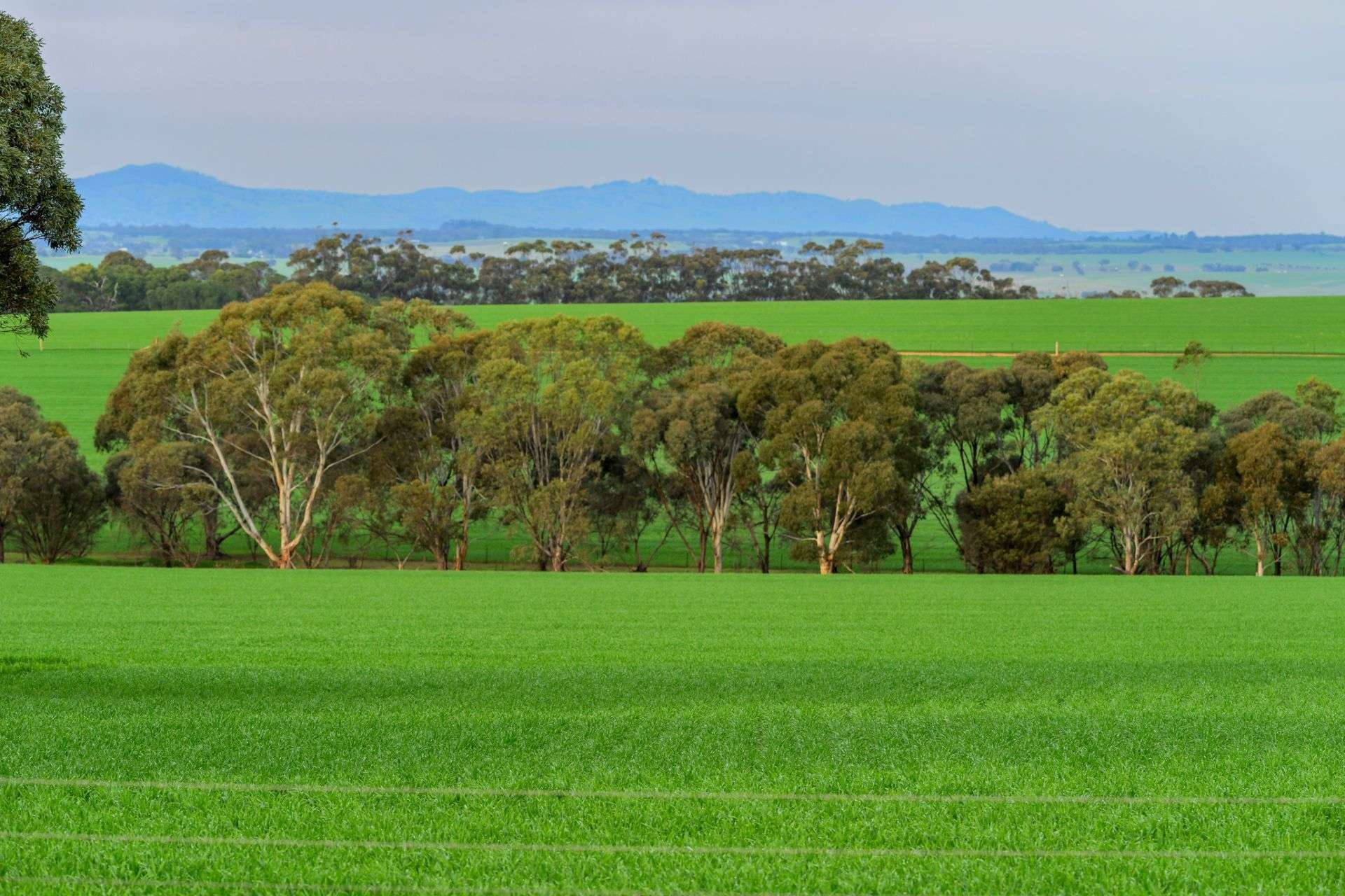 Mixed Farm For Sale SA