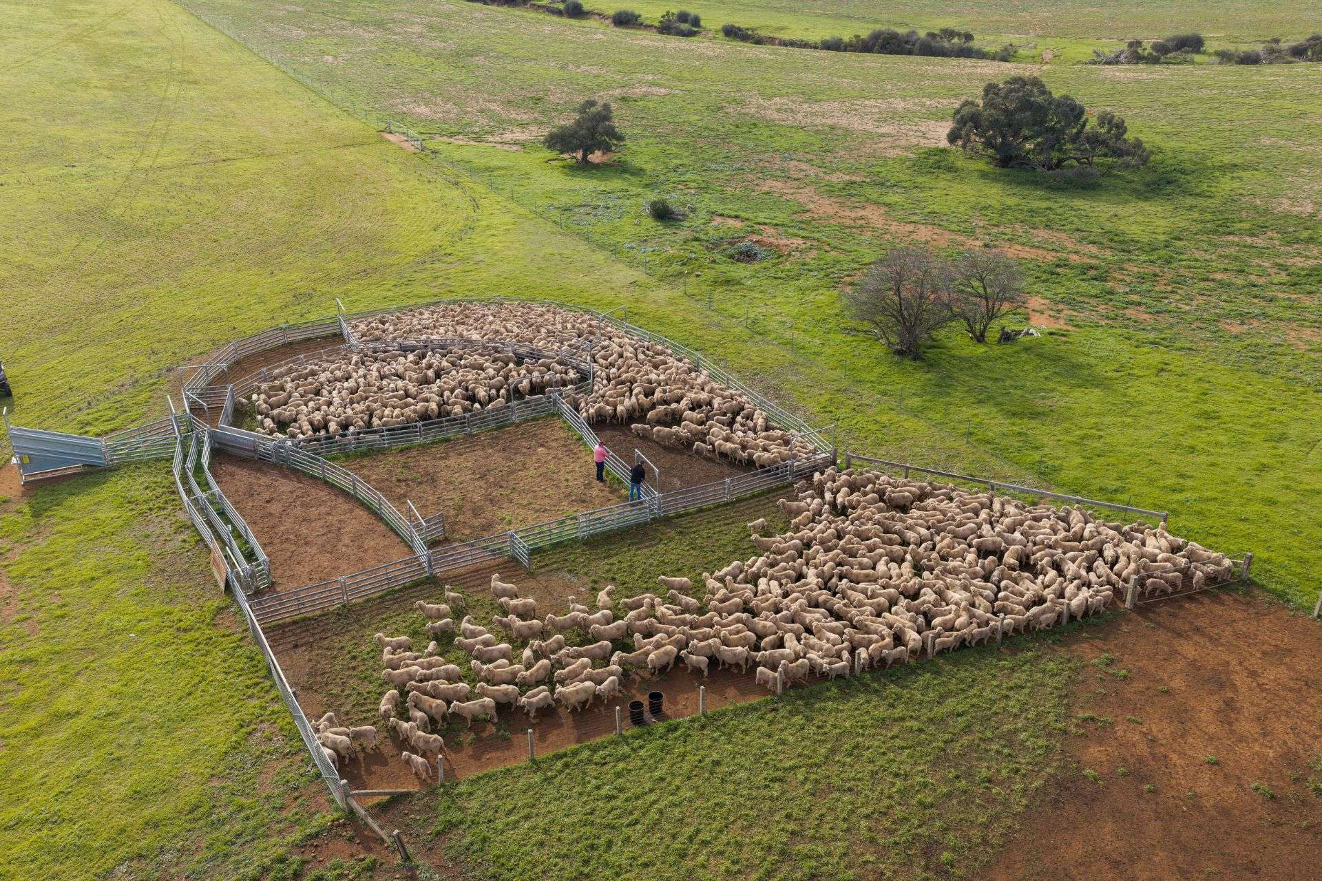 Mixed Farm For Sale SA