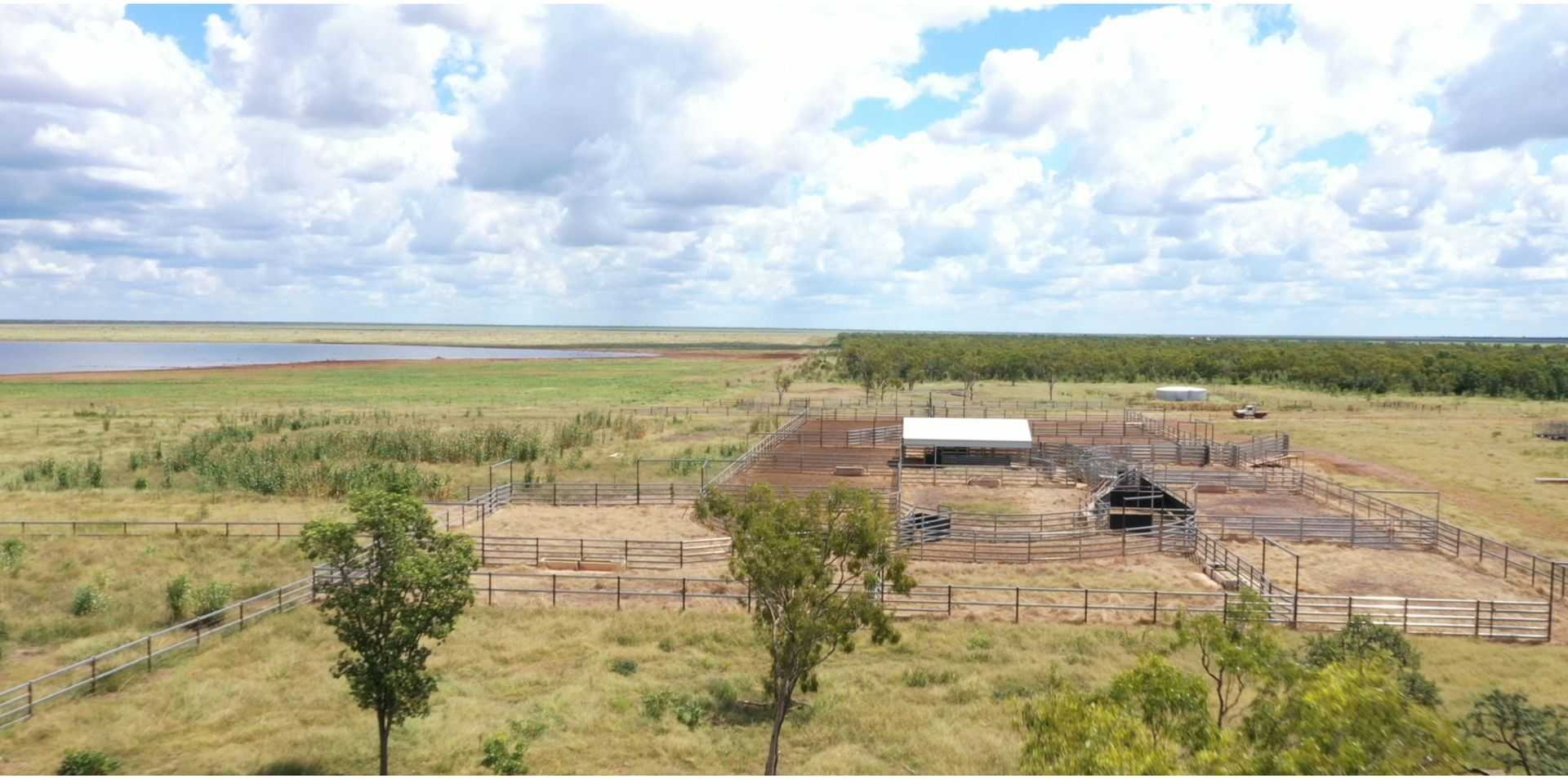 cattle property for sale NT
