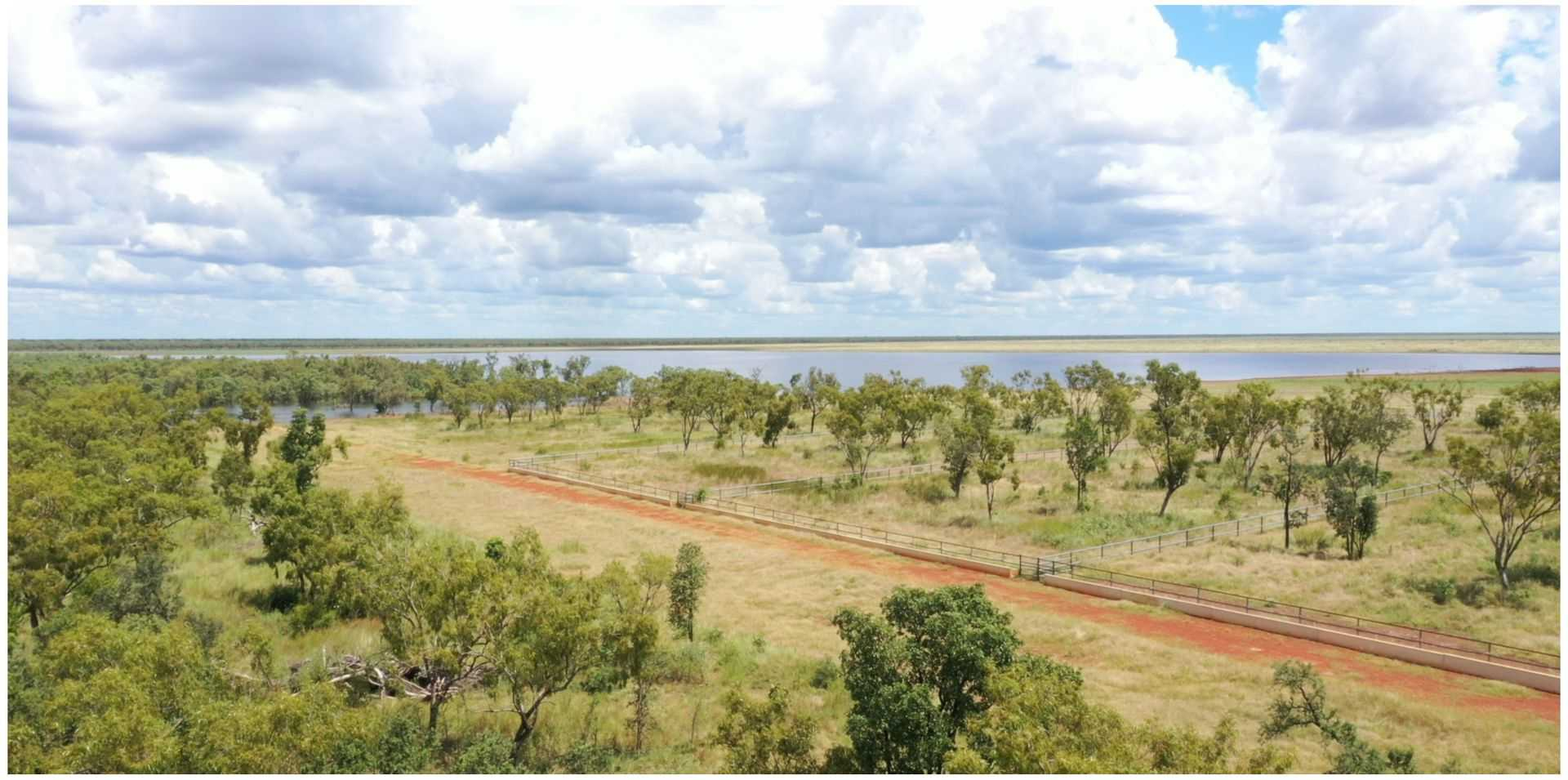 cattle property for sale NT